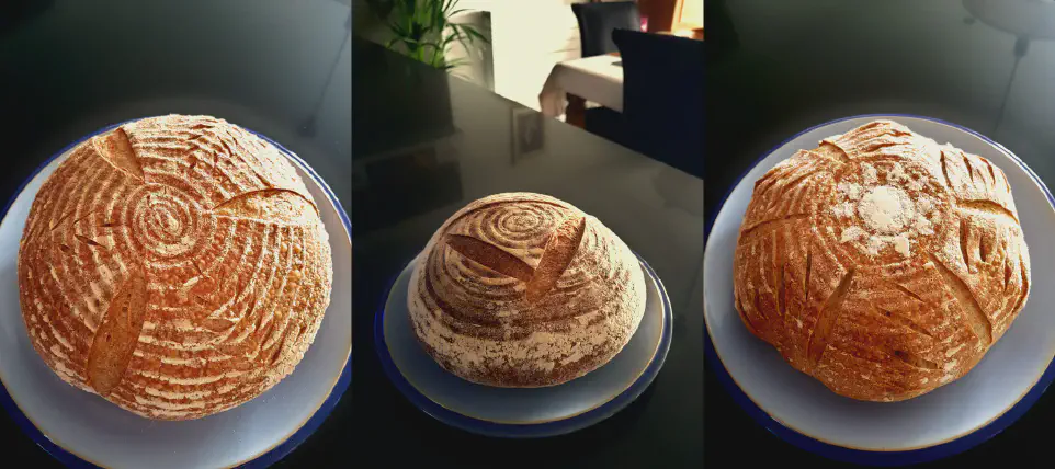 Sour Dough Collection. Credit: John Urquhart Ferguson